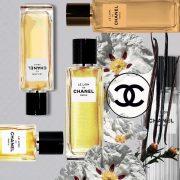 Lion Chanel - Un MALGACHE A PARIS